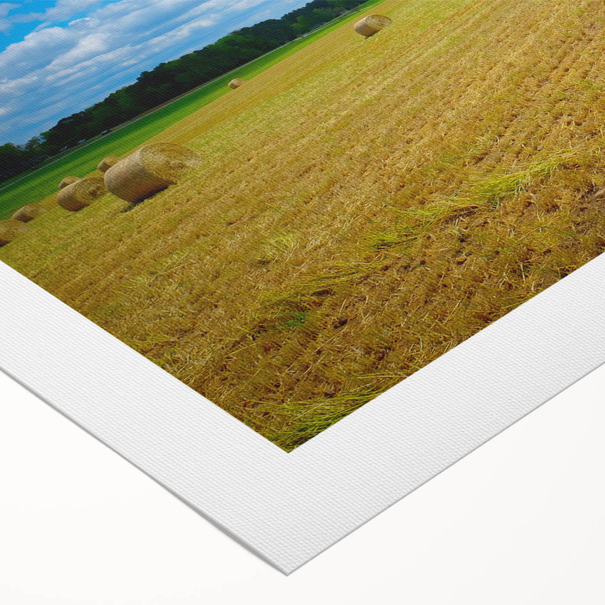 Art deco poster of Raleigh skyline in monochrome shades on rolled canvas, suitable for dining room wall art.