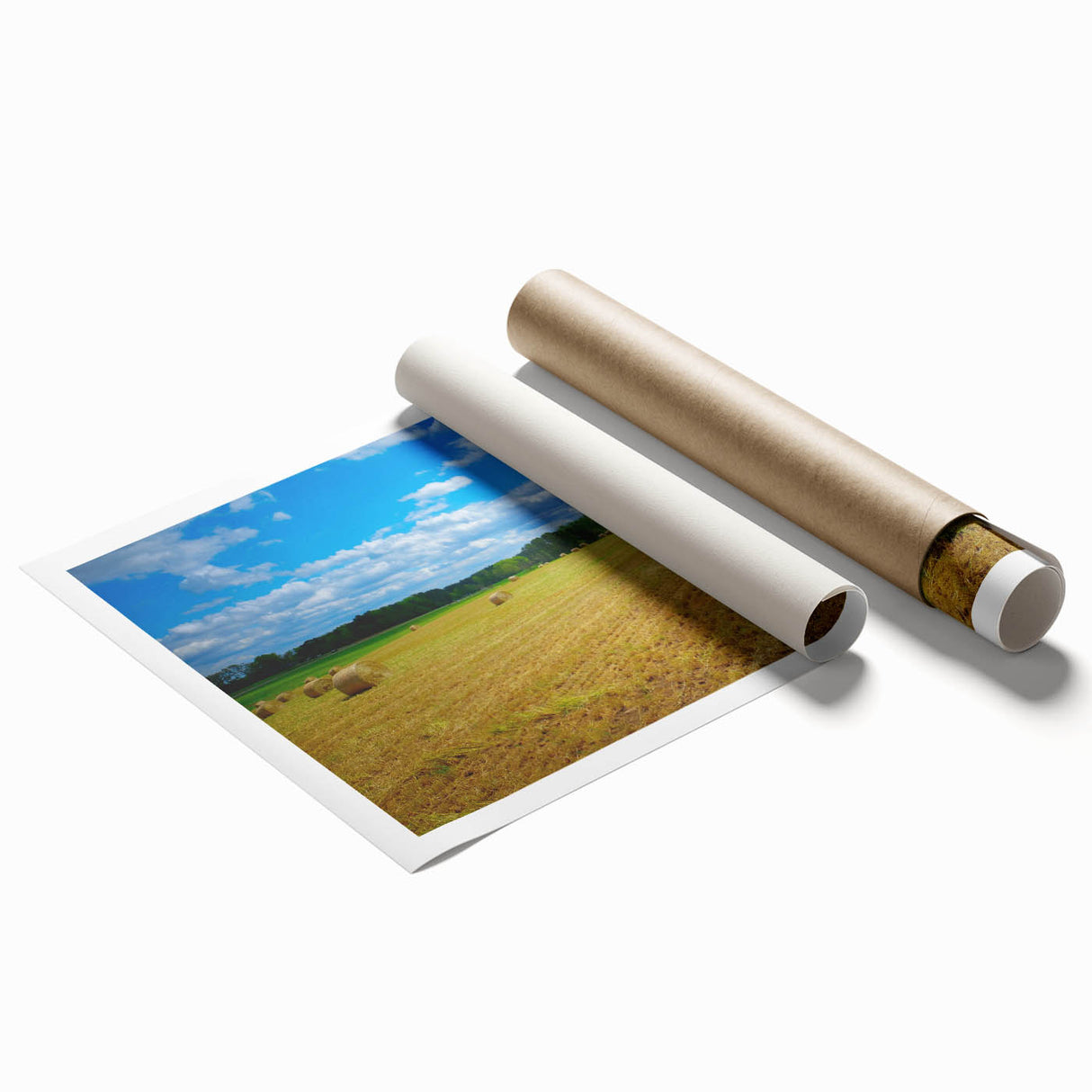 Extra large rolled print of Raleigh, North Carolina scenery with floral motifs in soft pastel colors.