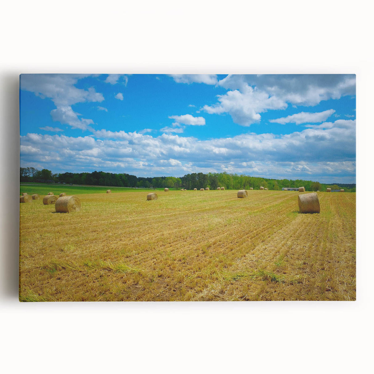 Black and white stretched canvas of Raleigh, North Carolina skyline, ideal for kitchen wall art.