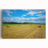 Black and white stretched canvas of Raleigh, North Carolina skyline, ideal for kitchen wall art.