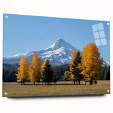 Acrylic print of Mount Hood, Oregon, with muted earth tones, ideal for bedroom or dining room decor.