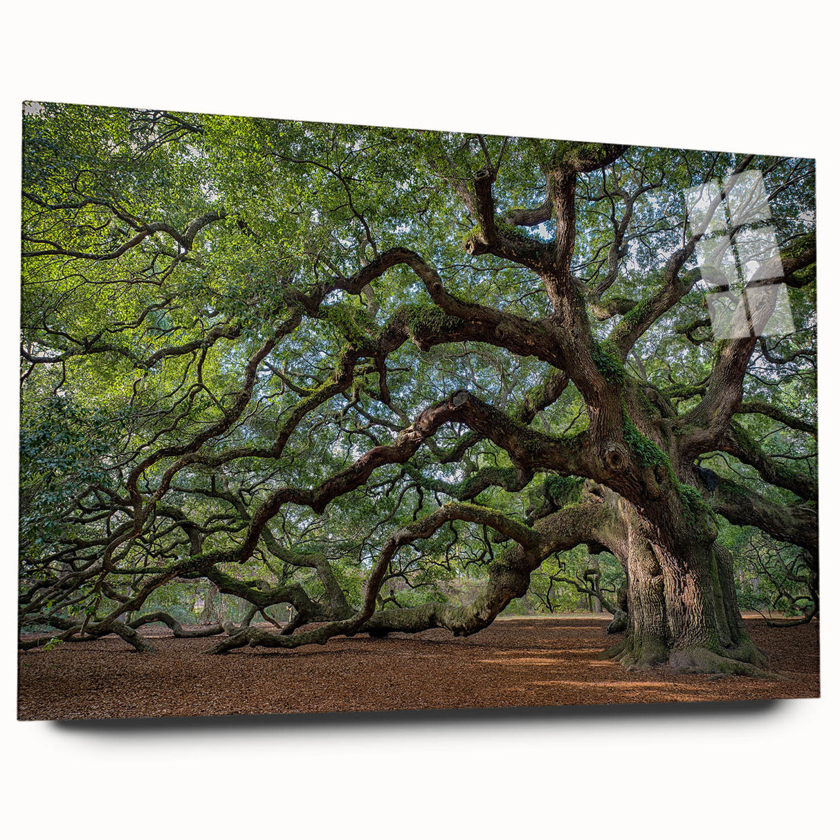 Acrylic print of a large abstract depiction of Charleston, South Carolina, in muted blue and green tones.