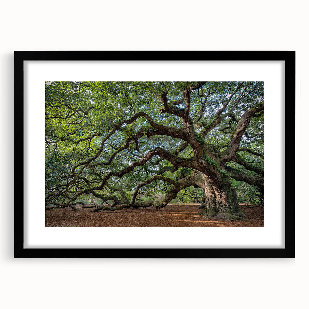 Extra large abstract art print of Charleston scenery, featuring vibrant, colorful textures on a framed black mat.
