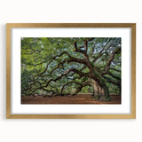 Extra large abstract art print of Charleston, South Carolina, with textured details in muted earth tones, framed in gold.