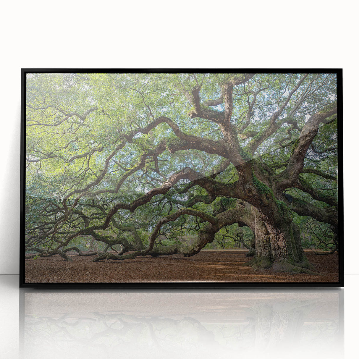 Large abstract wall art depicting Charleston, USA, in muted earth tones on a framed acrylic.