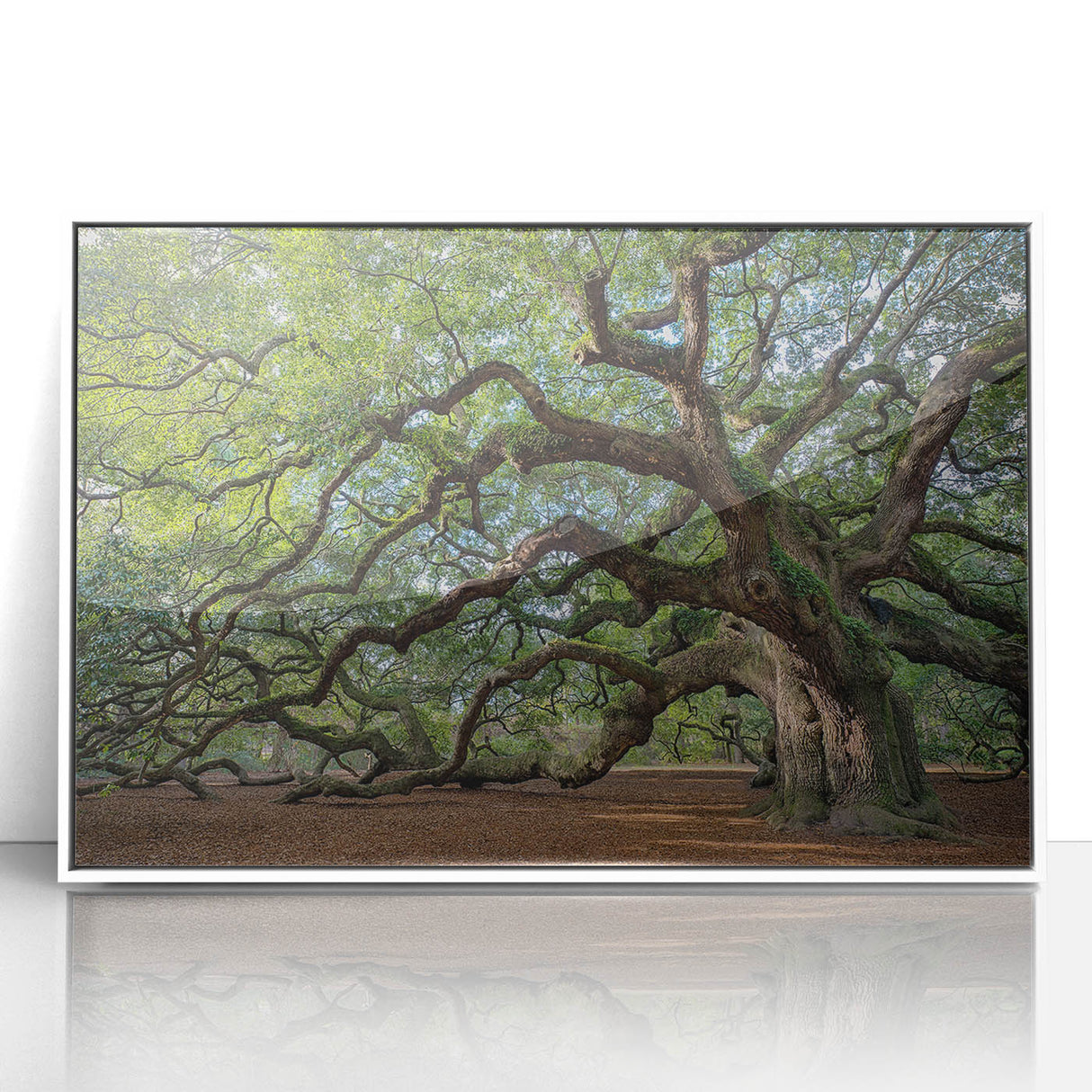 Framed acrylic print of Charleston, South Carolina scenery in art deco style, featuring pastel colors.