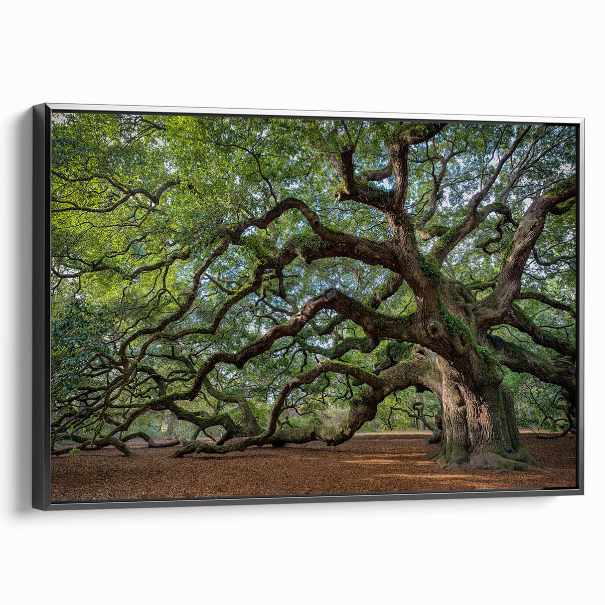 Black and white framed canvas of Charleston landscape in vintage poster style, ideal for bedroom wall decor.