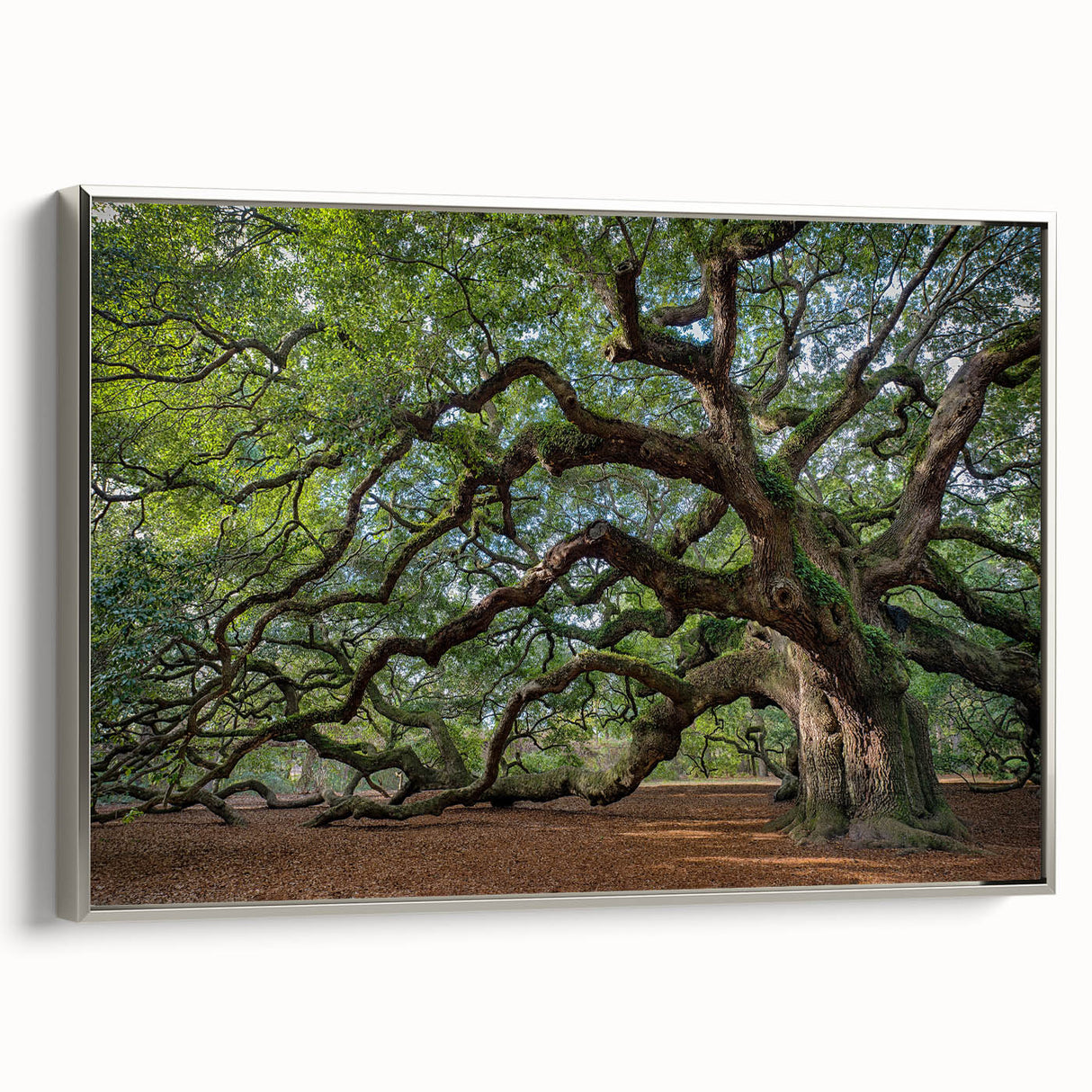 Framed canvas of a Charleston landscape in muted colors, perfect for adding a vintage touch to any room.