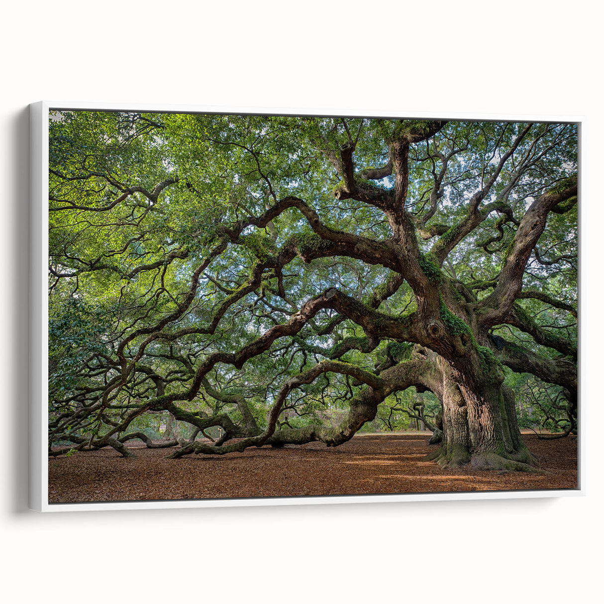Vintage poster art of Charleston, South Carolina on a framed canvas, featuring colorful art in a black and white palette.