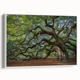 Vintage poster art of Charleston, South Carolina on a framed canvas, featuring colorful art in a black and white palette.