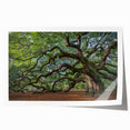 Rolled print of Charleston scenery with vibrant green and pink floral elements, ideal for art wall dining room.
