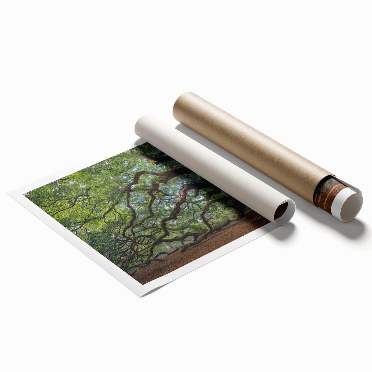 Large rolled print of Charleston scenery with soft floral elements in pastel shades, ideal for classy bathroom wall art.