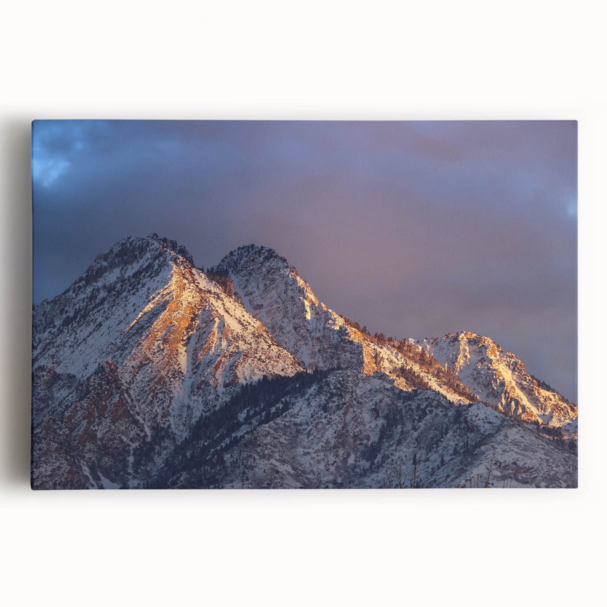 Black and white stretched canvas of Salt Lake City skyline, ideal for kitchen wall art.
