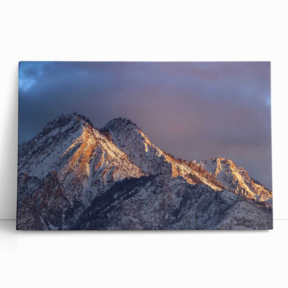 Black and white stretched canvas of Salt Lake City skyline, suitable as large kitchen wall art.