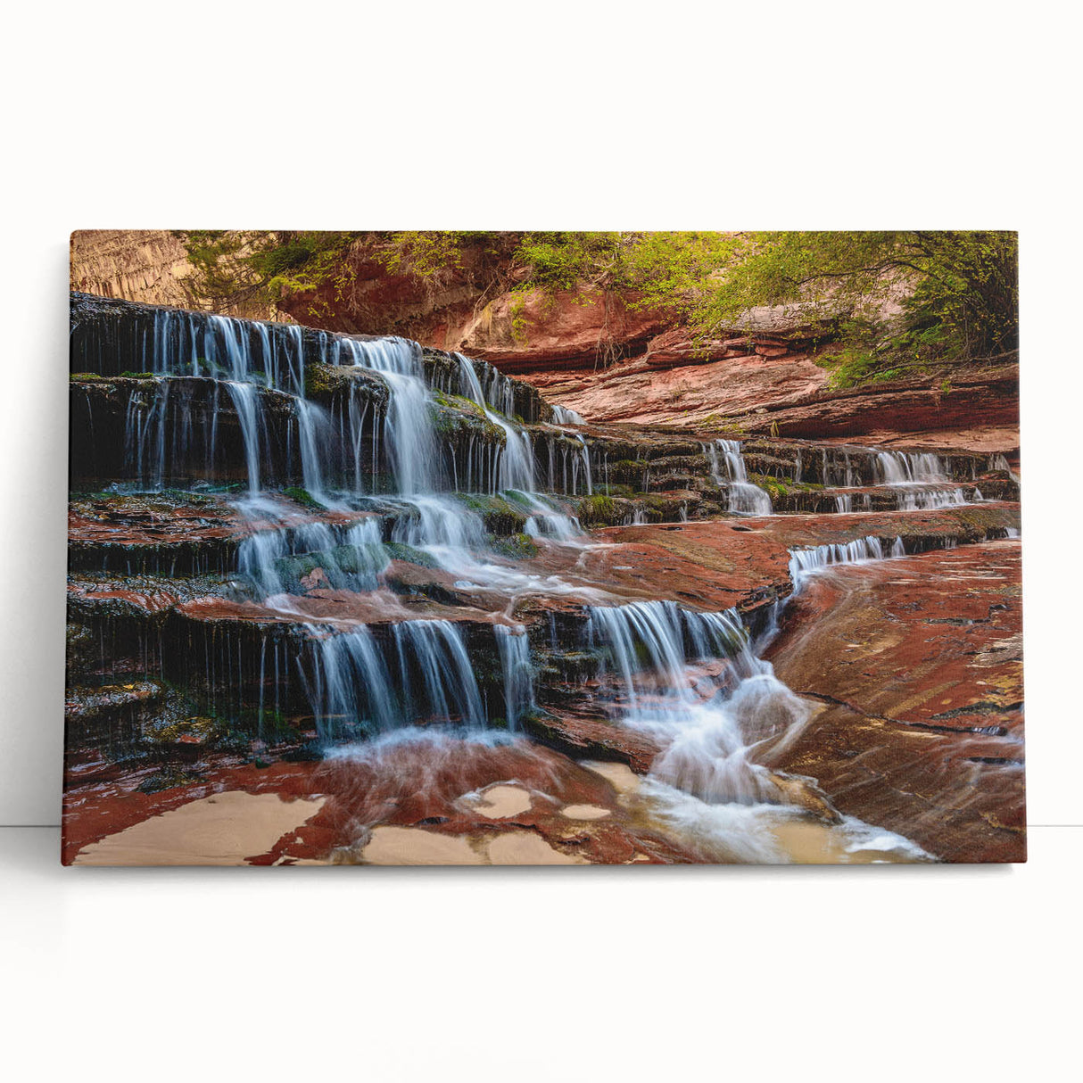 Black and white stretched canvas of Zion National Park scenery, ideal for kitchen wall art or bedroom ambiance.