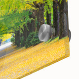 Large abstract wall art featuring the Virginia scenery in mid-century modernist style on acrylic glass.