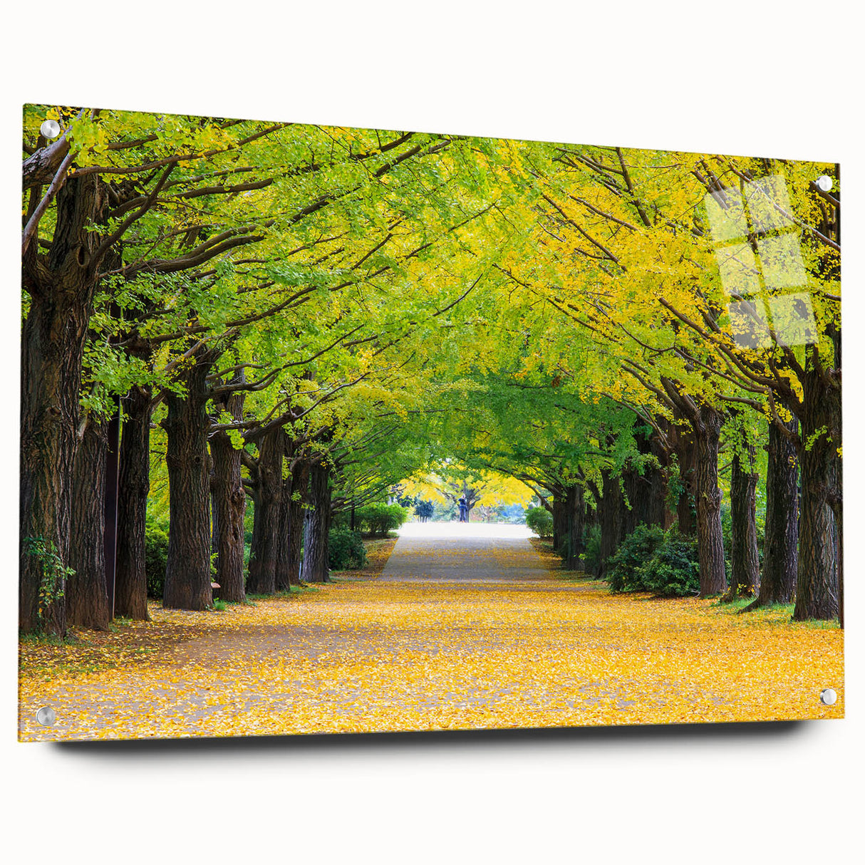 Acrylic glass print of a Virginia landscape in muted earth tones, suitable for bedroom or dining room decor.