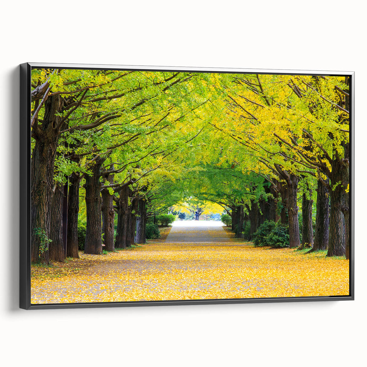 Black and white wall art featuring a vintage-style Virginia landscape on framed canvas, ideal for bedroom decor.