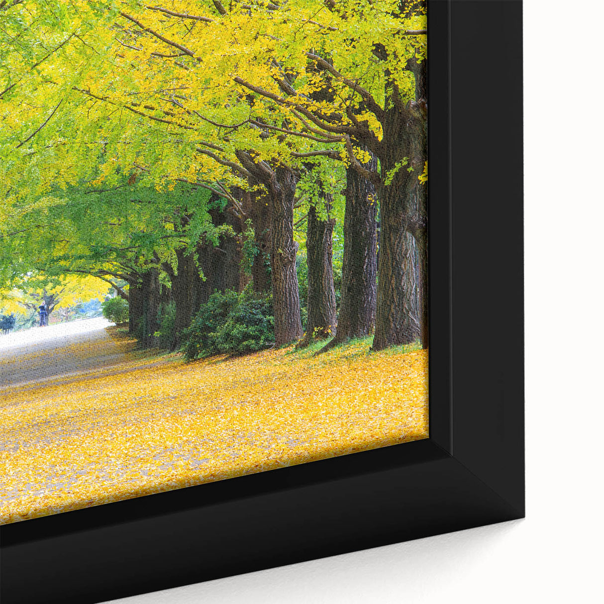 Extra large framed canvas featuring a textured depiction of a Virginia landscape in black with colorful accents.