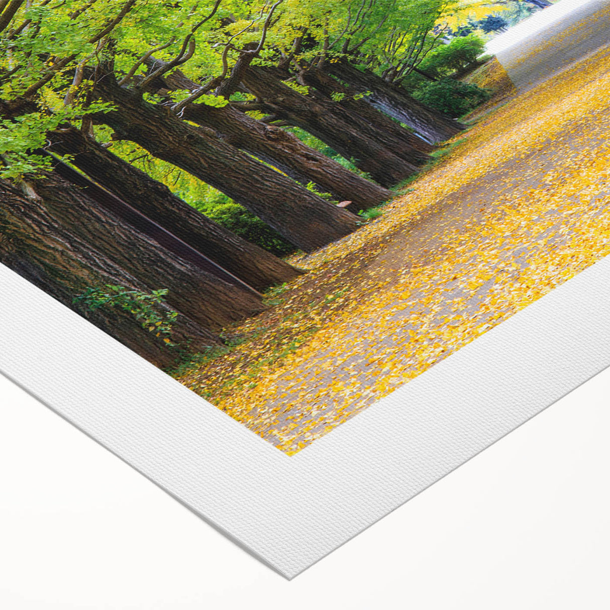 Art Deco poster of Virginia scenery on rolled canvas, with muted earth tones, ideal for dining room wall art.