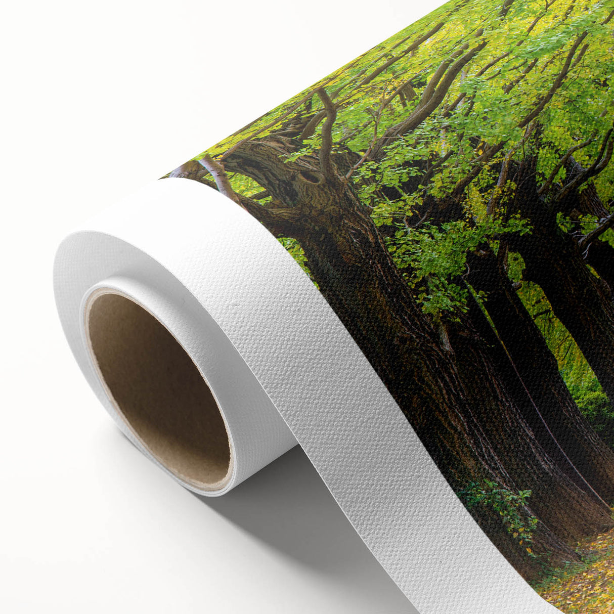 Art Deco poster of Virginia scenery on rolled canvas, in soft pastel shades, ideal for nursery wall art.