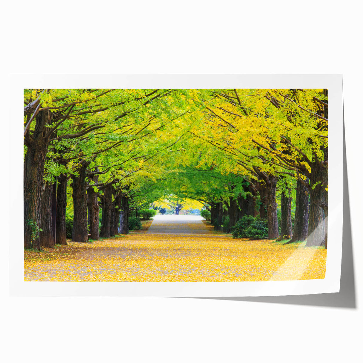 Rolled print of Virginia scenery with floral motifs in soft pastel shades, ideal for art wall dining room.
