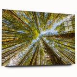 Large abstract wall art of Olympic scenery in muted green and blue tones on acrylic glass.