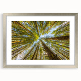 Textured abstract art print of the Olympic scenery in Washington, featuring muted earth tones on a framed silver mat.