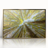 Mid-century modernist style large art print of Olympic National Park with muted earth tones, framed in acrylic gold.