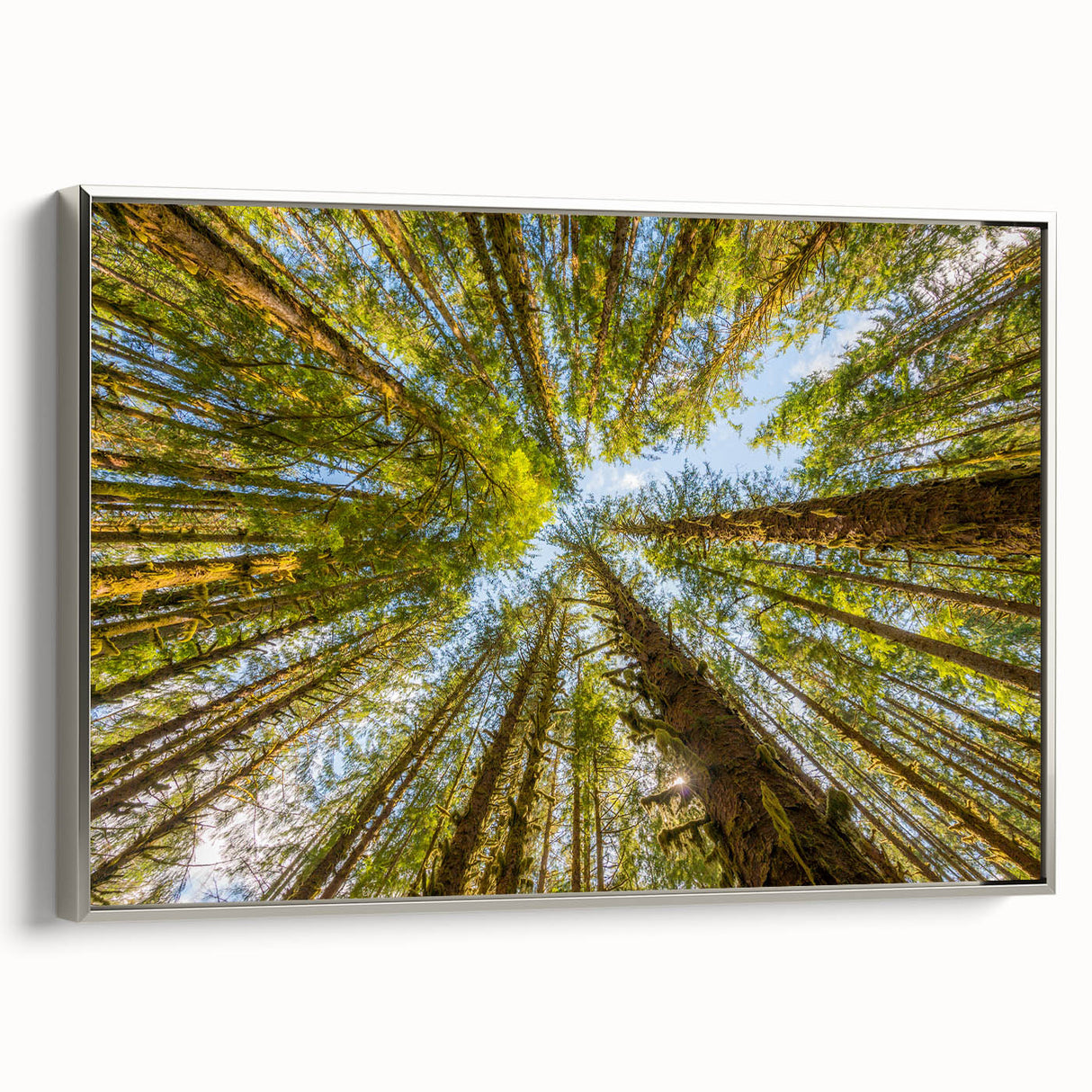 Framed canvas featuring a vintage-style landscape painting of Olympic National Park with a black and colorful palette.
