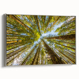 Framed canvas featuring a vintage-style landscape painting of Olympic National Park with a black and colorful palette.