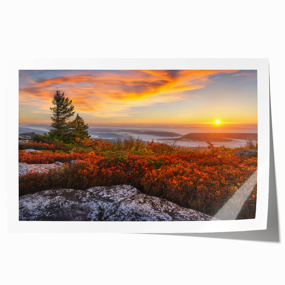 Extra large rolled print of West Virginia scenery with vibrant green and blue tones, ideal for dining room wall art.