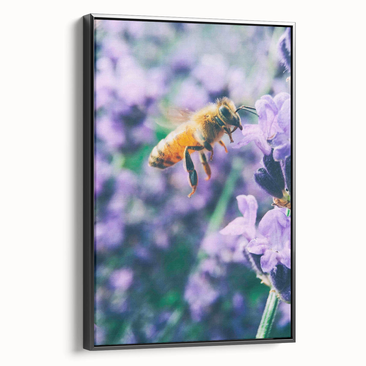 Black and white framed canvas featuring a vintage landscape painting, ideal for bedroom wall decor.