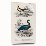 Historical Romanticism Canvas: Exotic Birds - Romantic Art Prints