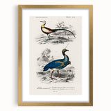 Historical Romanticism Canvas: Exotic Birds - Romantic Art Prints