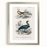 Historical Romanticism Canvas: Exotic Birds - Romantic Art Prints
