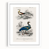 Historical Romanticism Canvas: Exotic Birds - Romantic Art Prints