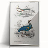 Historical Romanticism Canvas: Exotic Birds - Romantic Art Prints