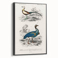 Historical Romanticism Canvas: Exotic Birds - Romantic Art Prints