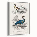 Historical Romanticism Canvas: Exotic Birds - Romantic Art Prints