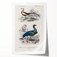 Historical Romanticism Canvas: Exotic Birds - Romantic Art Prints