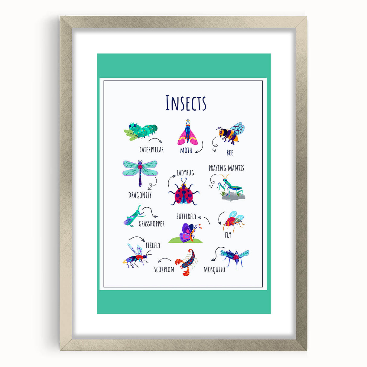 Insects Kids Educational Wall Art – Learning Poster