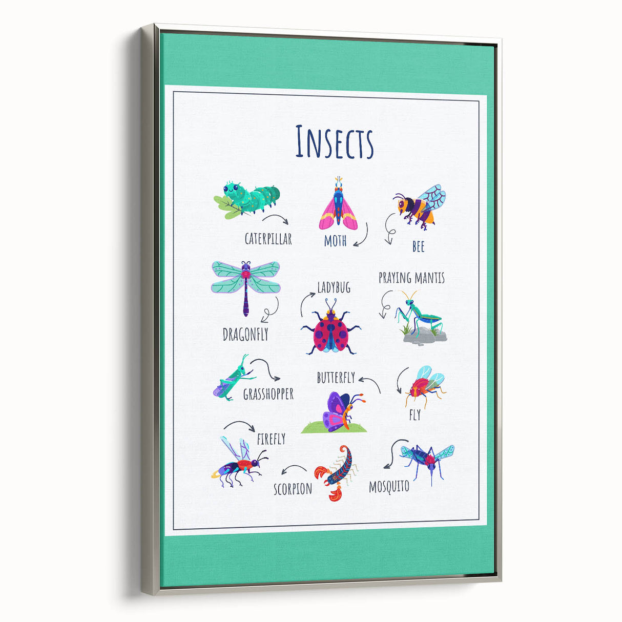Insects Kids Educational Wall Art – Learning Poster
