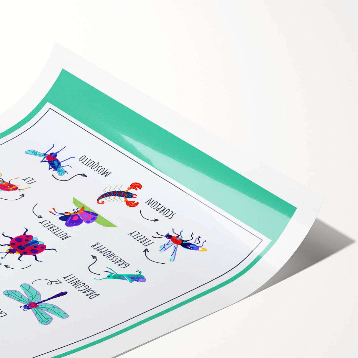 Insects Kids Educational Wall Art – Learning Poster