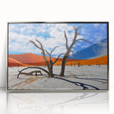 Acrylic print of an African landscape in Namibia, featuring warm earth tones, perfect for modern art wall decor.
