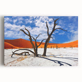 Black and white photograph of an African landscape on large stretched canvas, ideal for kitchen wall art.