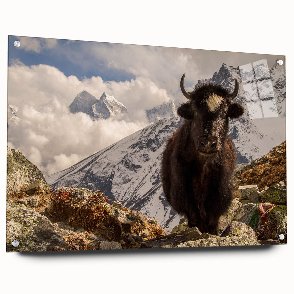 Acrylic print of a serene Nepalese landscape in muted earth tones, ideal for bedroom or dining room decor.