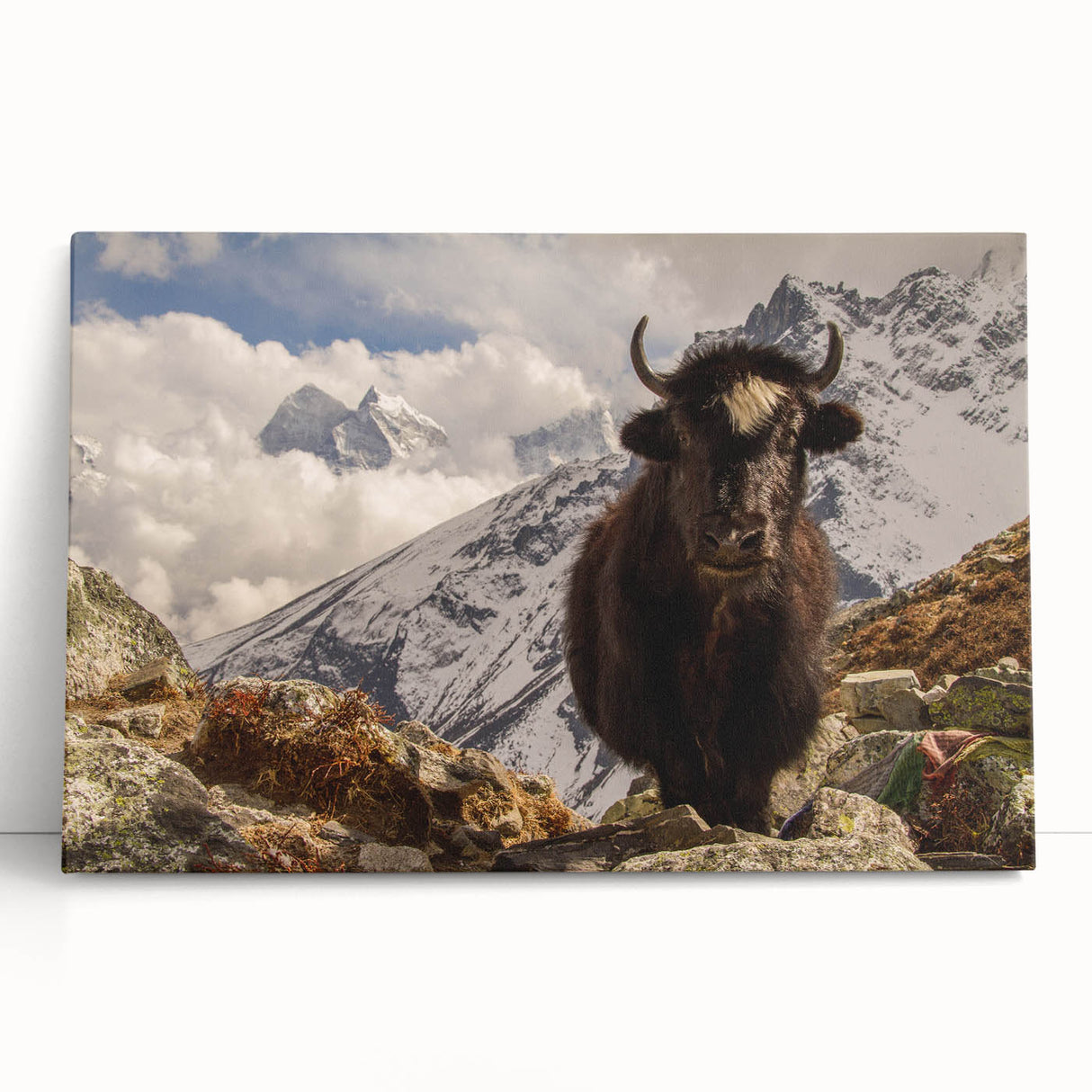 Black and white photo of a Nepalese landscape on stretched canvas, ideal for kitchen wall art or bedroom ambiance.