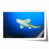 Extra large rolled print of a serene Thai landscape, featuring lush greenery and a calm river.