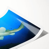 Extra large rolled print featuring line art flowers in muted earth tones, ideal for large living room wall art.